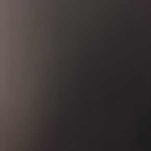 Meet your Posher, Lena